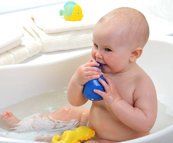 Kala the Whale Bath Toy Hole Free - 100% Pure Natural Rubber