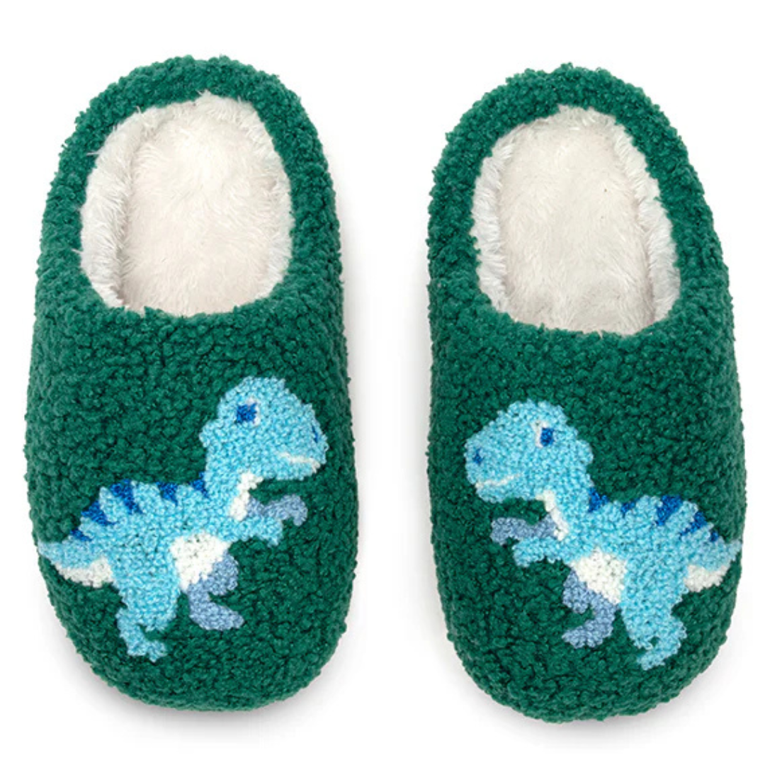 Fun Kids Slippers