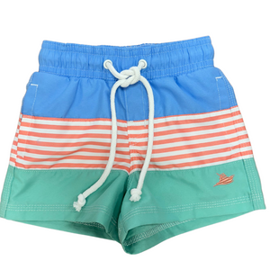 Persimmon Color Block Swim Trunks