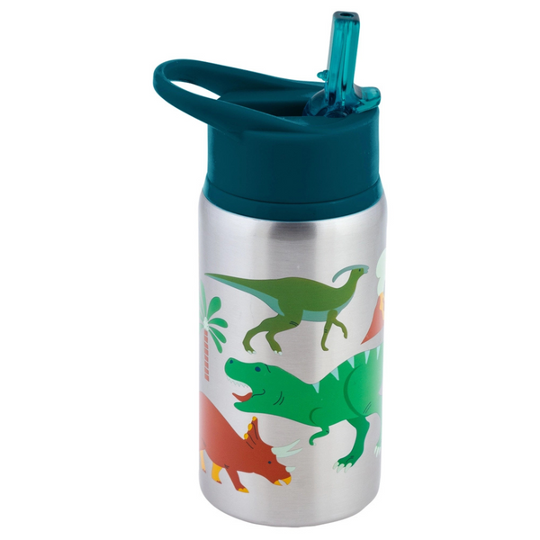 Stainless Steel Water Bottles