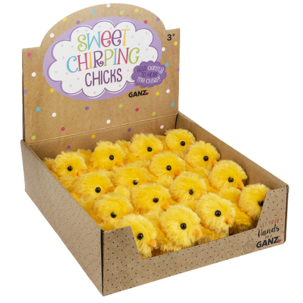 Sweet Chirping Chick