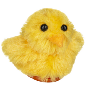 Sweet Chirping Chick