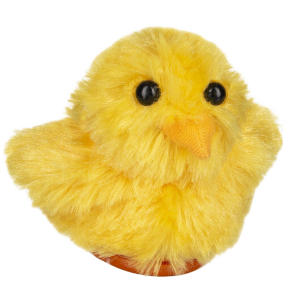 Sweet Chirping Chick