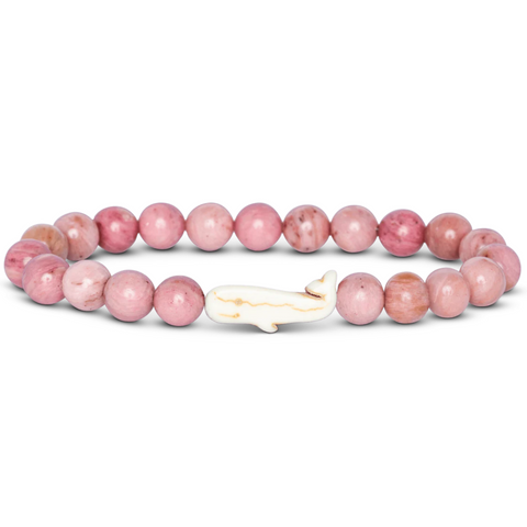Fahlo whale tracking bracelet with ocean-inspired packaging and information about real-time tracking and whale conservation support.