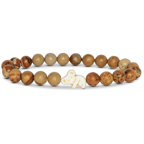 Fahlo koala tracking bracelet with eucalyptus-themed packaging and interactive map access, supporting koala conservation in Eastern Australia.
