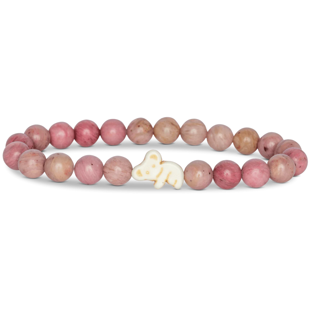 Fahlo koala tracking bracelet with eucalyptus-themed packaging and interactive map access, supporting koala conservation in Eastern Australia.