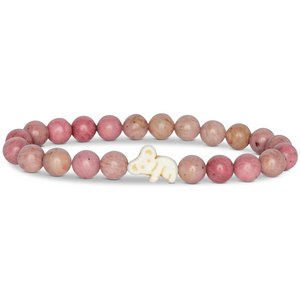 Fahlo koala tracking bracelet with eucalyptus-themed packaging and interactive map access, supporting koala conservation in Eastern Australia.