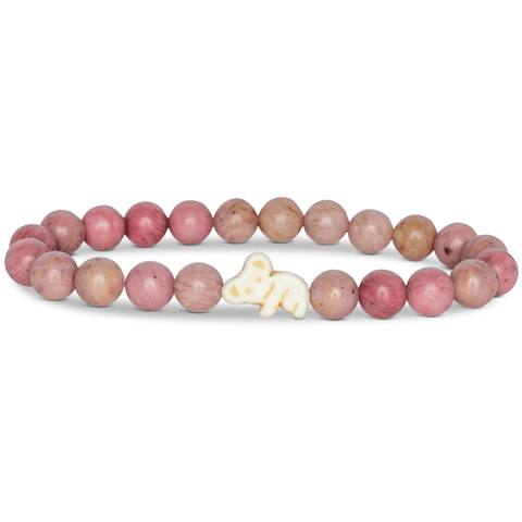 Fahlo koala tracking bracelet with eucalyptus-themed packaging and interactive map access, supporting koala conservation in Eastern Australia.