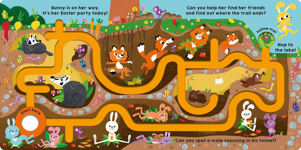 Maze Book: Follow the Bunny